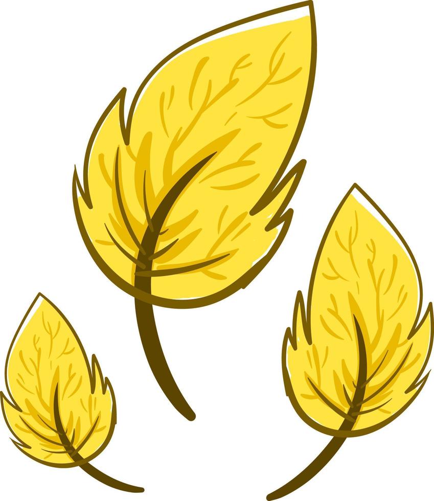 feuilles jaunes, illustration, vecteur sur fond blanc.