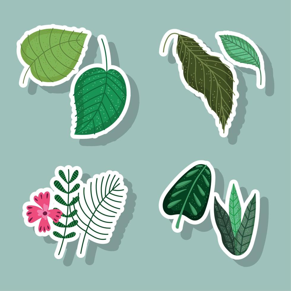 feuilles fleur branche nature feuillage floral dessin animé icônes stickers vecteur