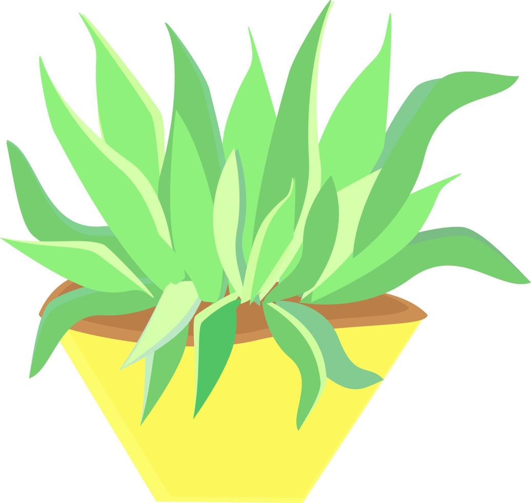 Herbe en pot, illustration, vecteur sur fond blanc