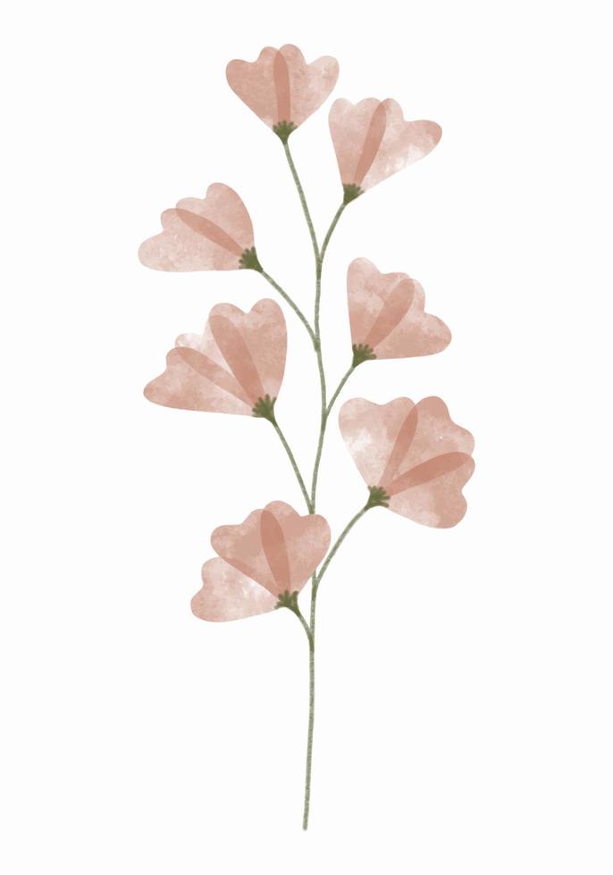 fleur tendance aquarelle. illustration vectorielle pour le web, l'application et l'impression. forme féminine élégante fleur de pois sucré isolée floristique. jardin, élément floral botanique et minimaliste. vecteur