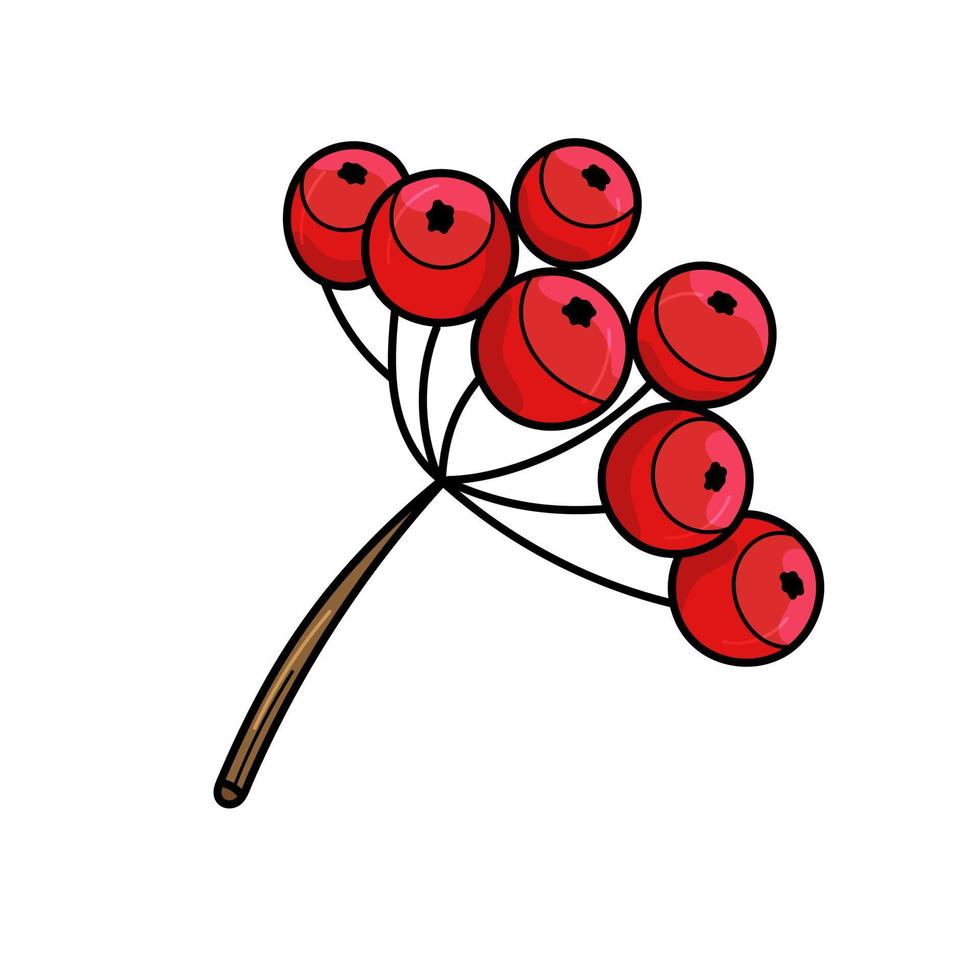 branche de sorbier avec des baies. illustration vectorielle isolée sur fond blanc, style cartoon vecteur