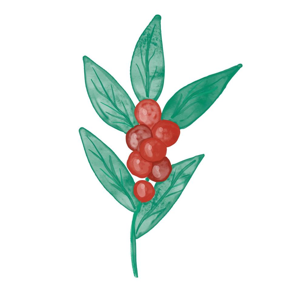 joli clip art minimaliste floral d'hiver aquarelle. branche de gui de baies de houx vert avec des baies rouges et des feuilles. élément de conception de noël simple vecteur