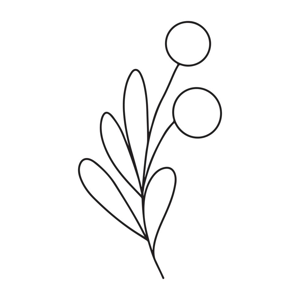 branche minimaliste dessinée à la main avec des feuilles et des baies. illutration vectorielle de contour de ligne de contour noir dans un style de doodle minimal. clipart floral de vacances d'hiver, verdure vecteur