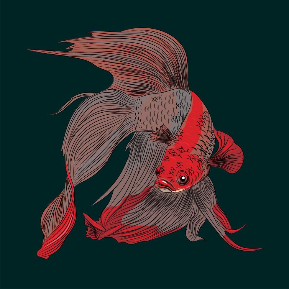 illustration vectorielle de poisson betta mignon vecteur