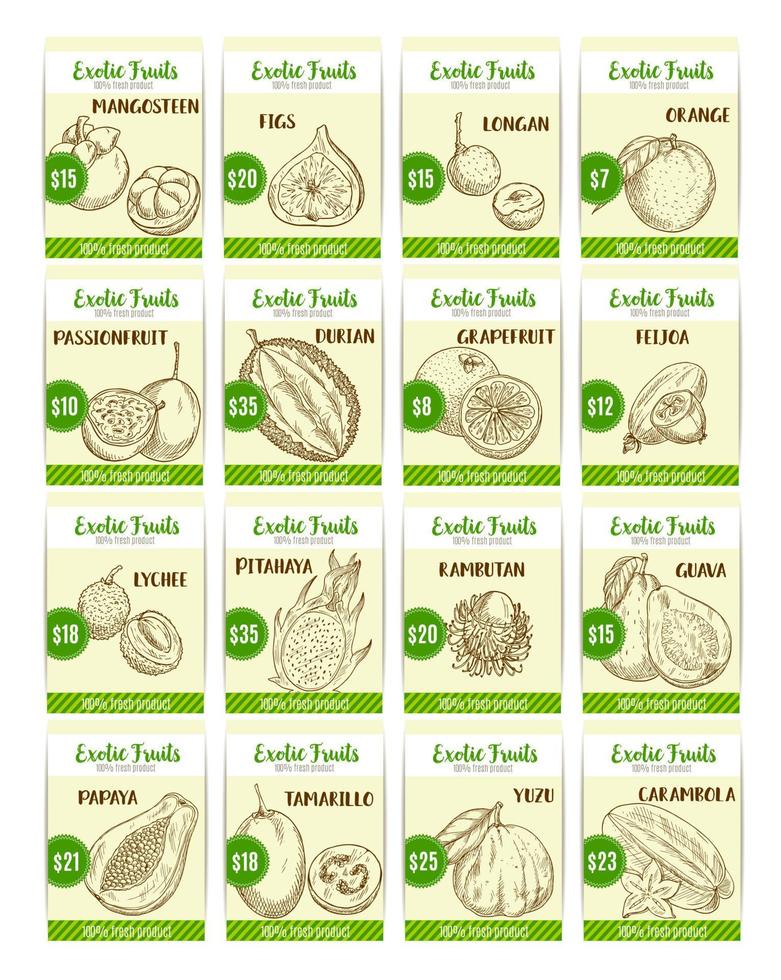 carte de prix de croquis de vecteur de fruits exotiques tropicaux