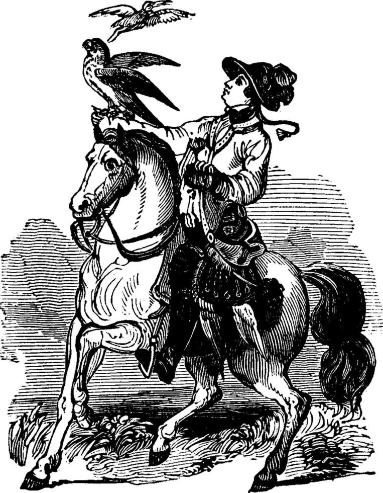 femme à cheval illustration vintage. vecteur