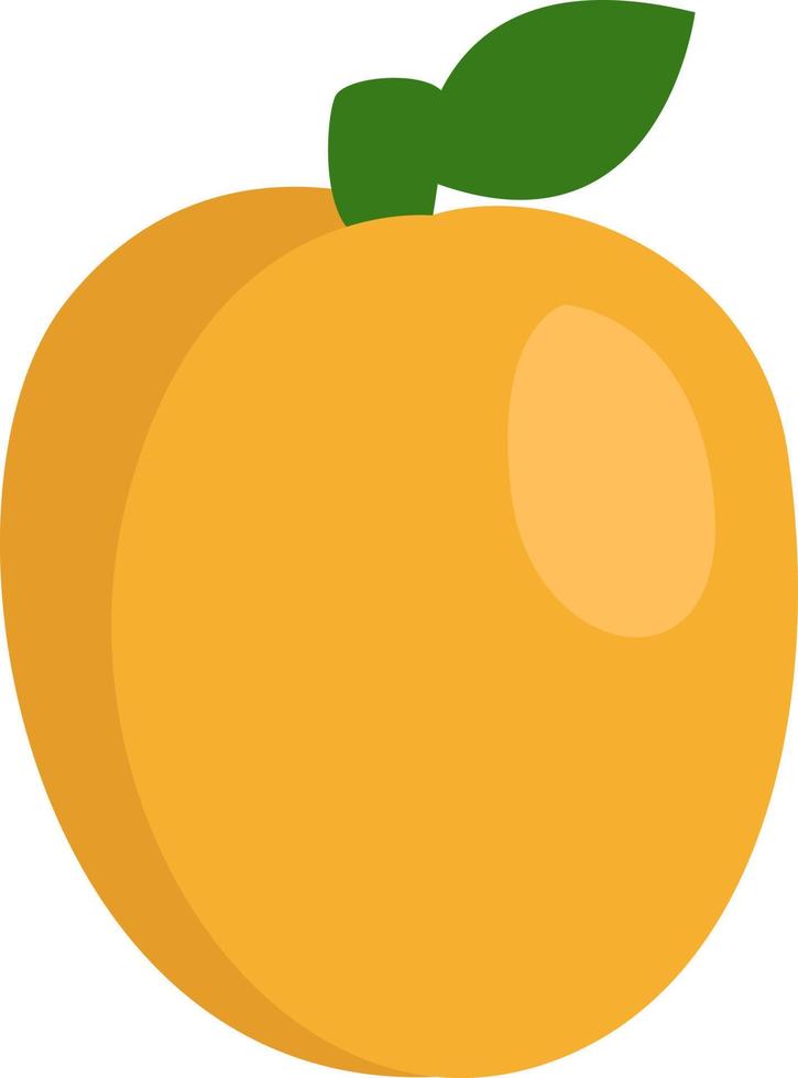 Abricot jaune, illustration, vecteur sur fond blanc.