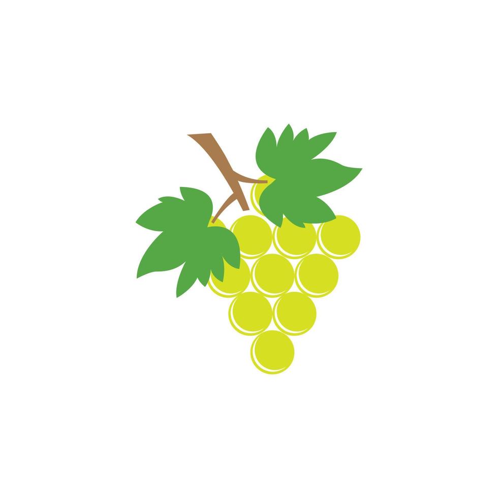 modèle de conception d'illustration vectorielle icône raisins vecteur
