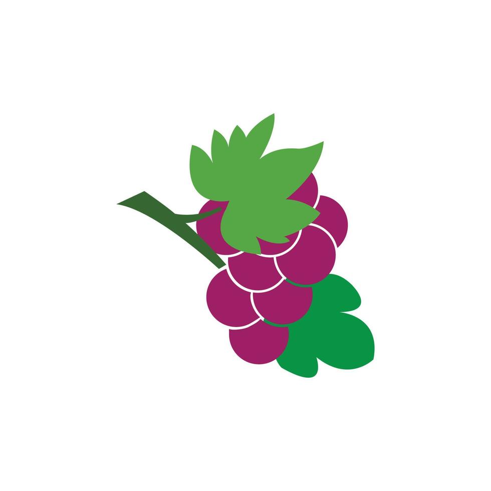 modèle de conception d'illustration vectorielle icône raisins vecteur