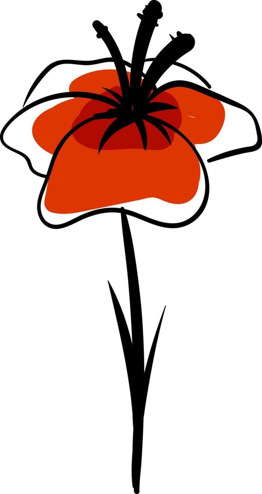 dessin de coquelicot, illustration, vecteur sur fond blanc.