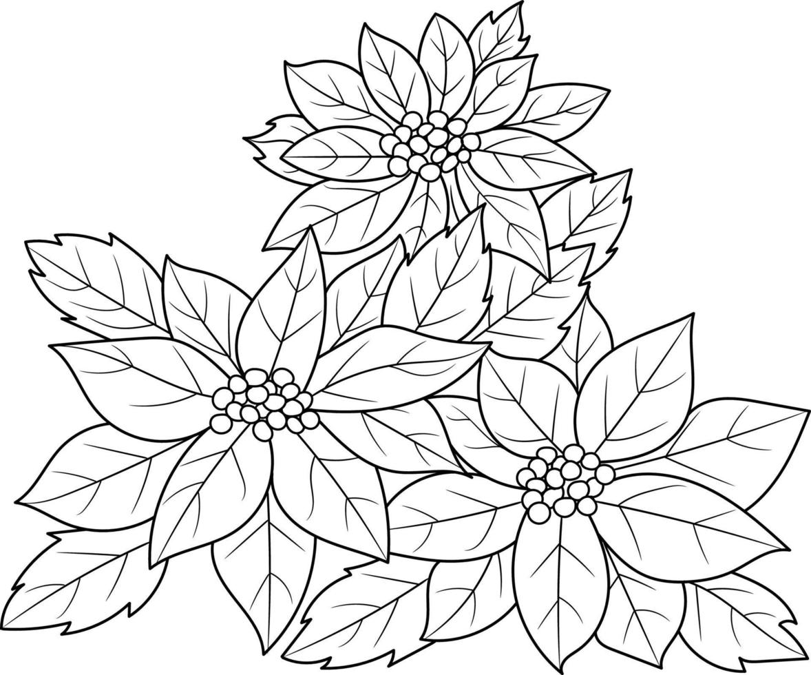 fleur de poinsettia décrite pour livre de coloriage pour adultes vecteur