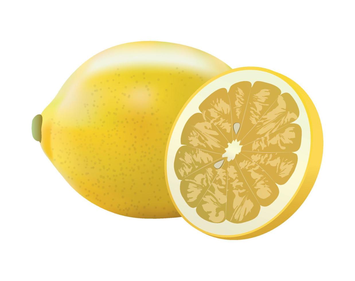 illustration vectorielle de citron réaliste vecteur