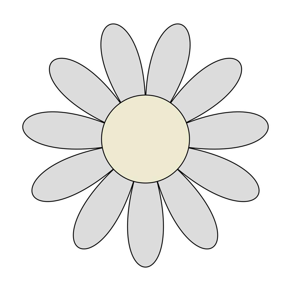 fleur de marguerite sur illustration vectorielle fond blanc vecteur