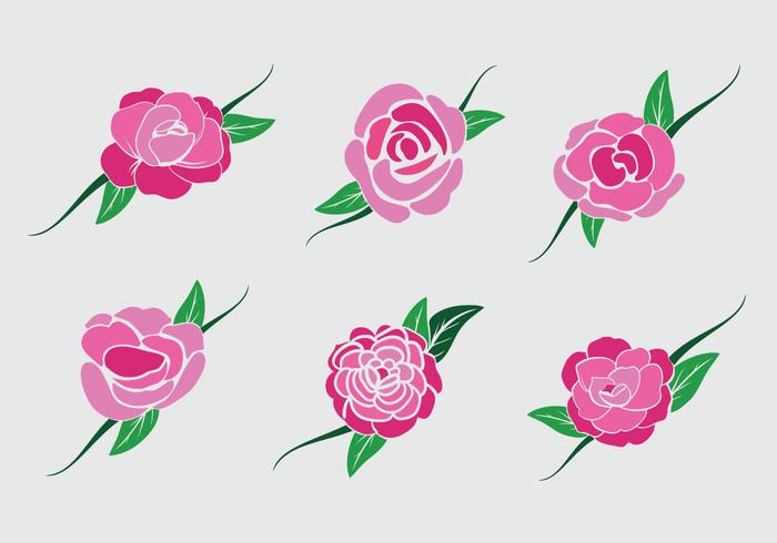 camélia rose fleur stock de vecteur