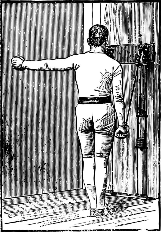 illustration vintage de poids de poitrine. vecteur