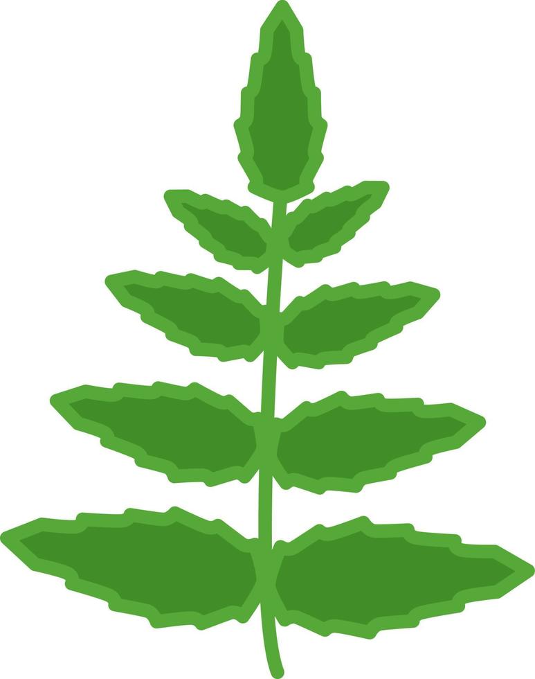 feuilles vertes, illustration, sur fond blanc. vecteur