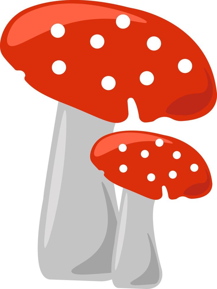 champignons, illustration, vecteur sur fond blanc.