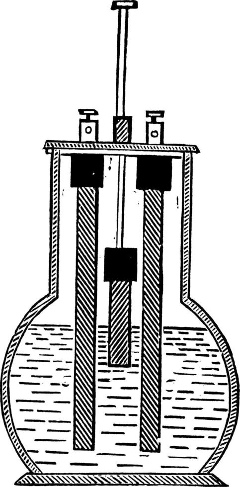 cellule de grenet, illustration vintage. vecteur
