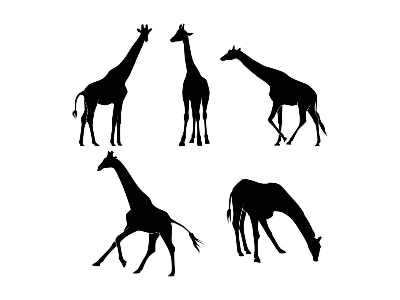 ensemble de silhouette de girafes isolé sur fond blanc - illustration vectorielle vecteur