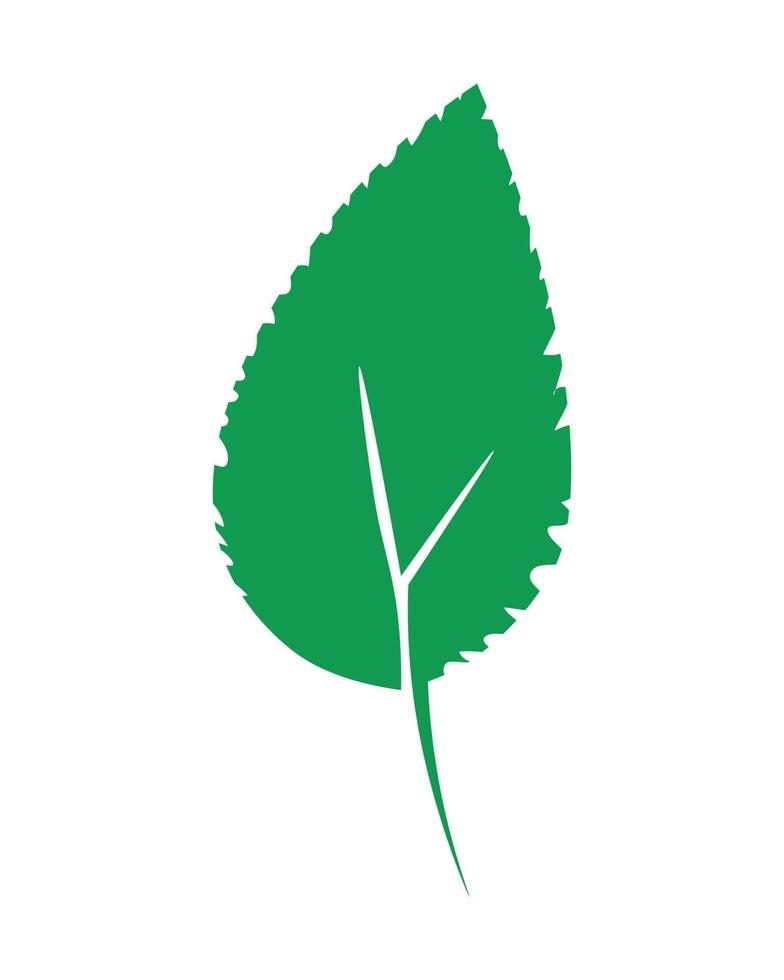 illustration vectorielle de feuilles vertes vecteur