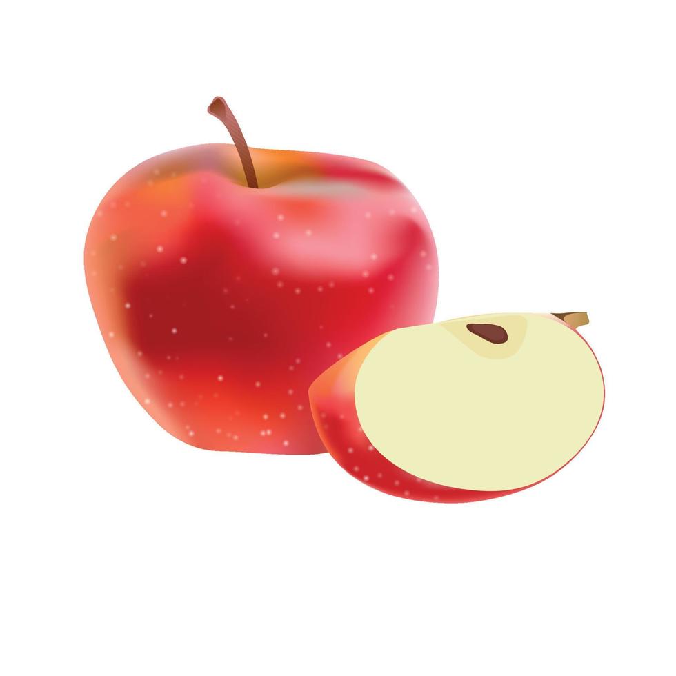 illustration vectorielle de pomme réaliste vecteur