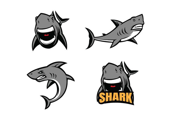 Shark Free Vector