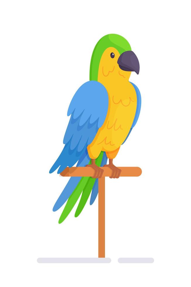 un beau perroquet coloré. illustration vectorielle d'un oiseau qui parle sur un isolé sur fond blanc. dessiné à la main. vecteur