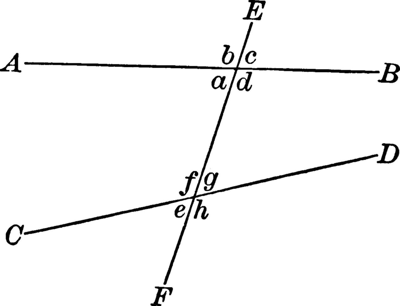 deux lignes, illustration vintage. vecteur