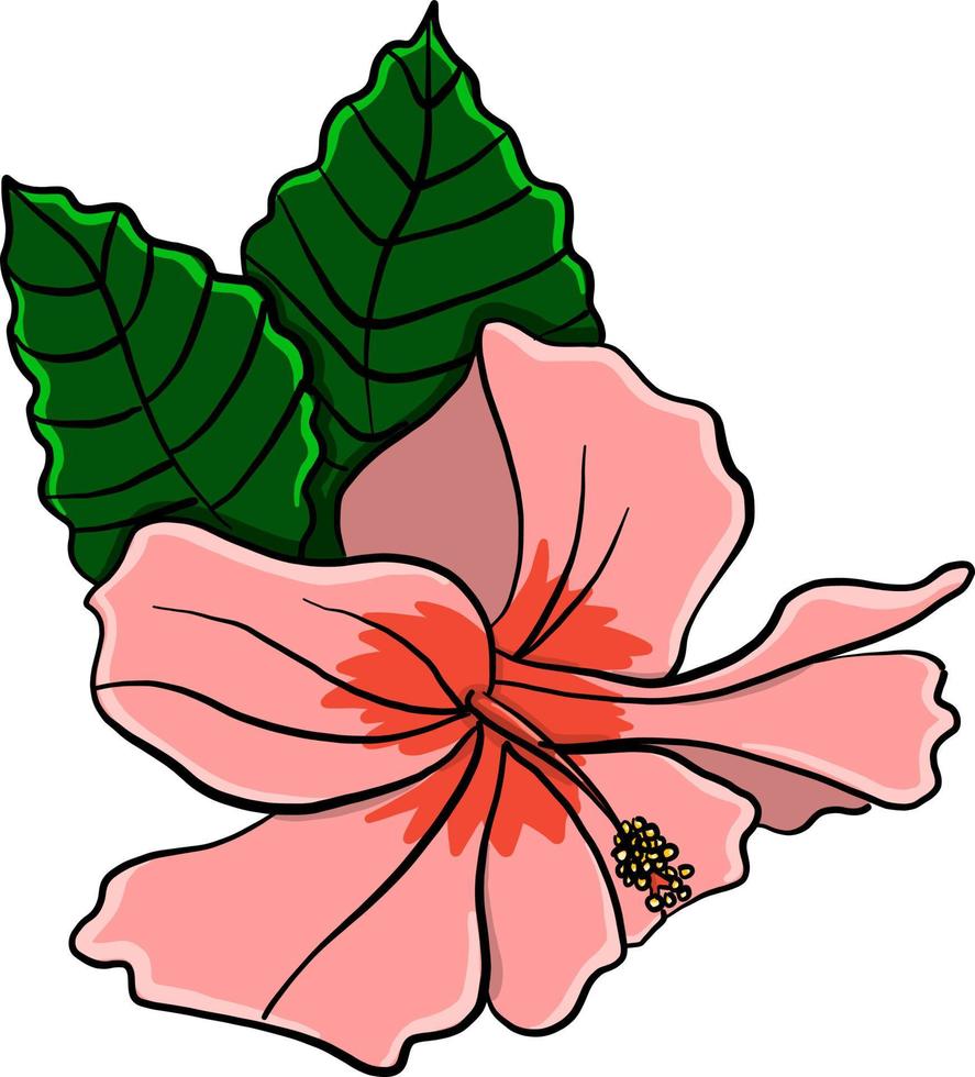 fleur d'hibiscus , illustration, vecteur sur fond blanc