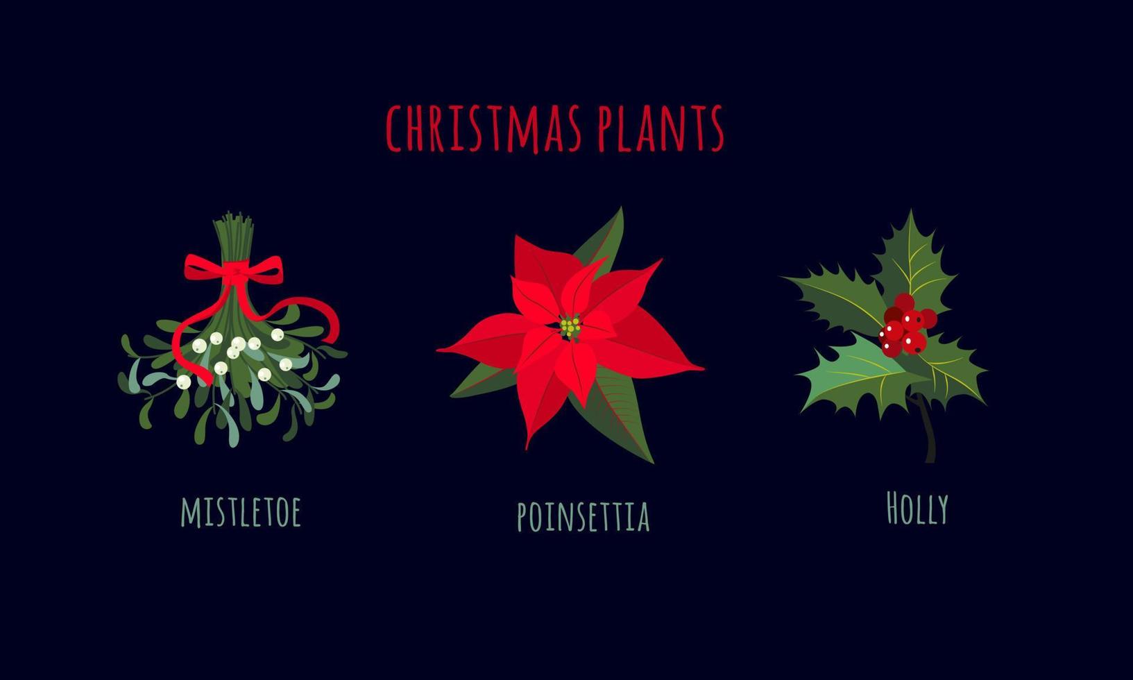 plantes de Noël telles que le gui, le poinsettia et le houx. éléments de décoration de noël. vecteur