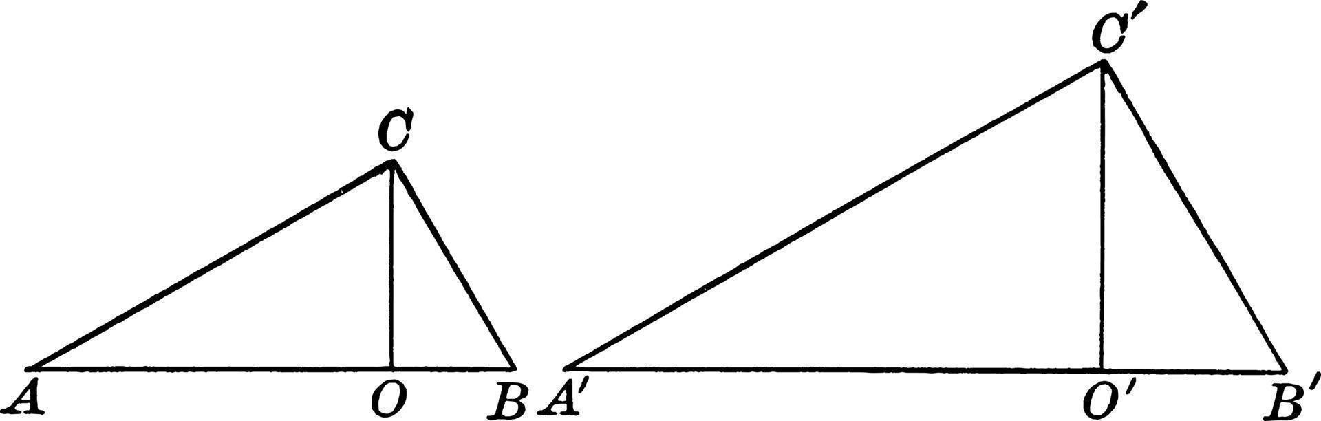 triangles avec illustration vintage d'altitudes. vecteur