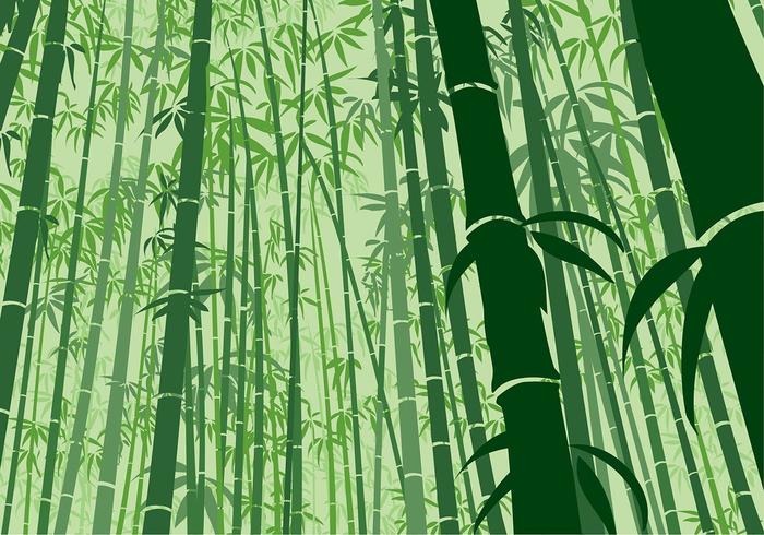 Bamboo Background Frog Angle vecteur libre