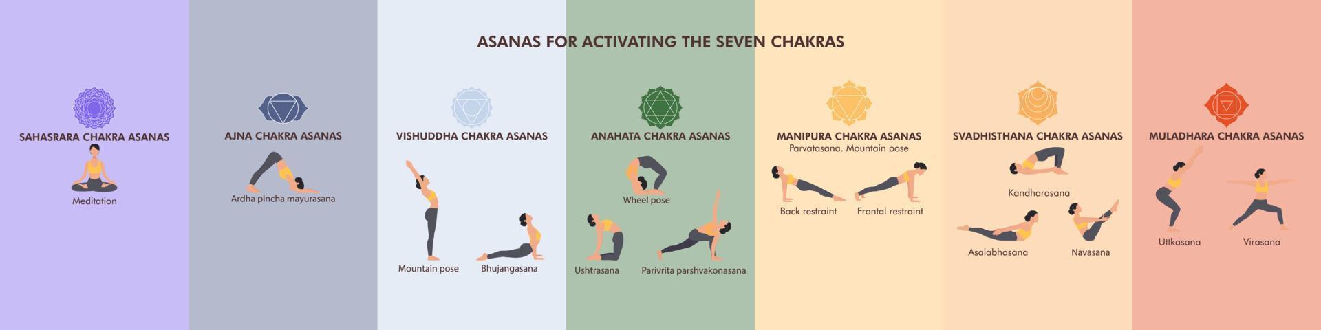 asanas pour activer les sept chakras. bannière vectorielle infographique avec différentes poses de yogi pour un corps et une énergie sains. femmes démontrant des asanas de yoga vecteur