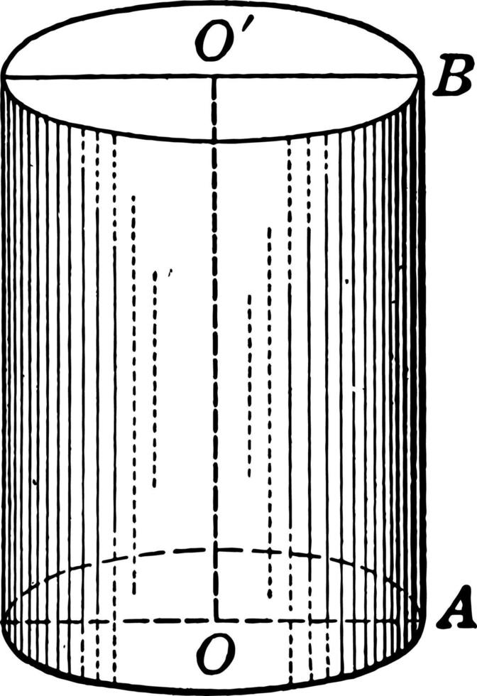 illustration vintage de cylindre circulaire droit. vecteur