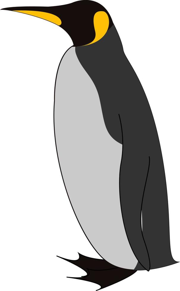 roi pingouin, illustration, vecteur sur fond blanc.