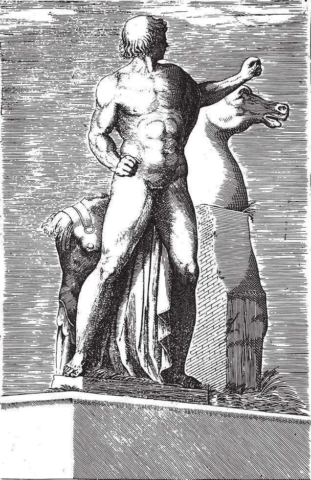 sculpture de l'un des dioscures sur le quirinal à rome, illustration vintage. vecteur