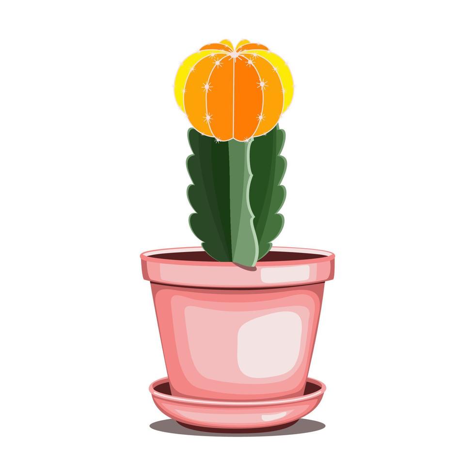 cactus de lune dans un pot en céramique en technique plate vecteur