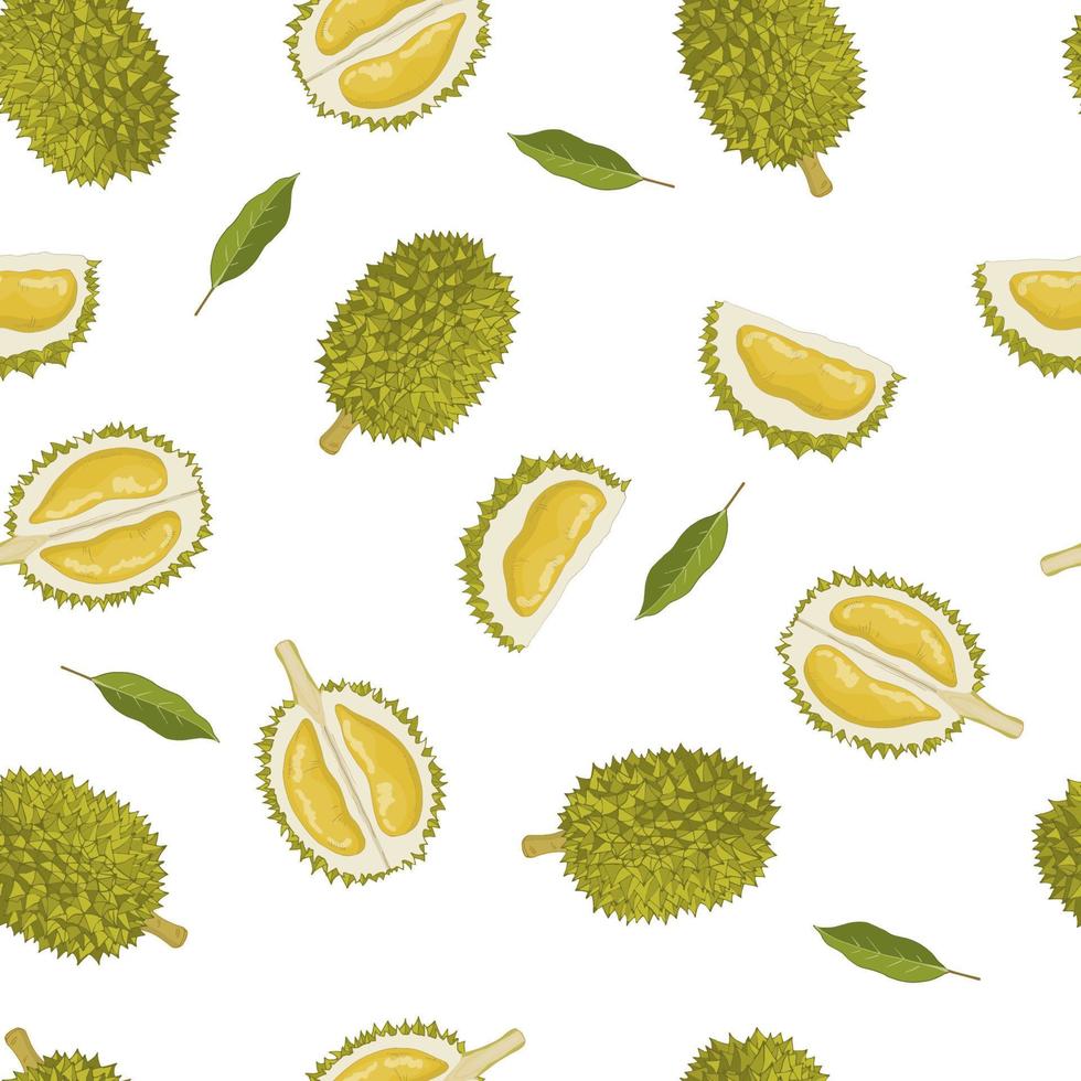 durian, modèle sans couture. modèle sans couture de durian et de feuilles sur fond blanc. vecteur