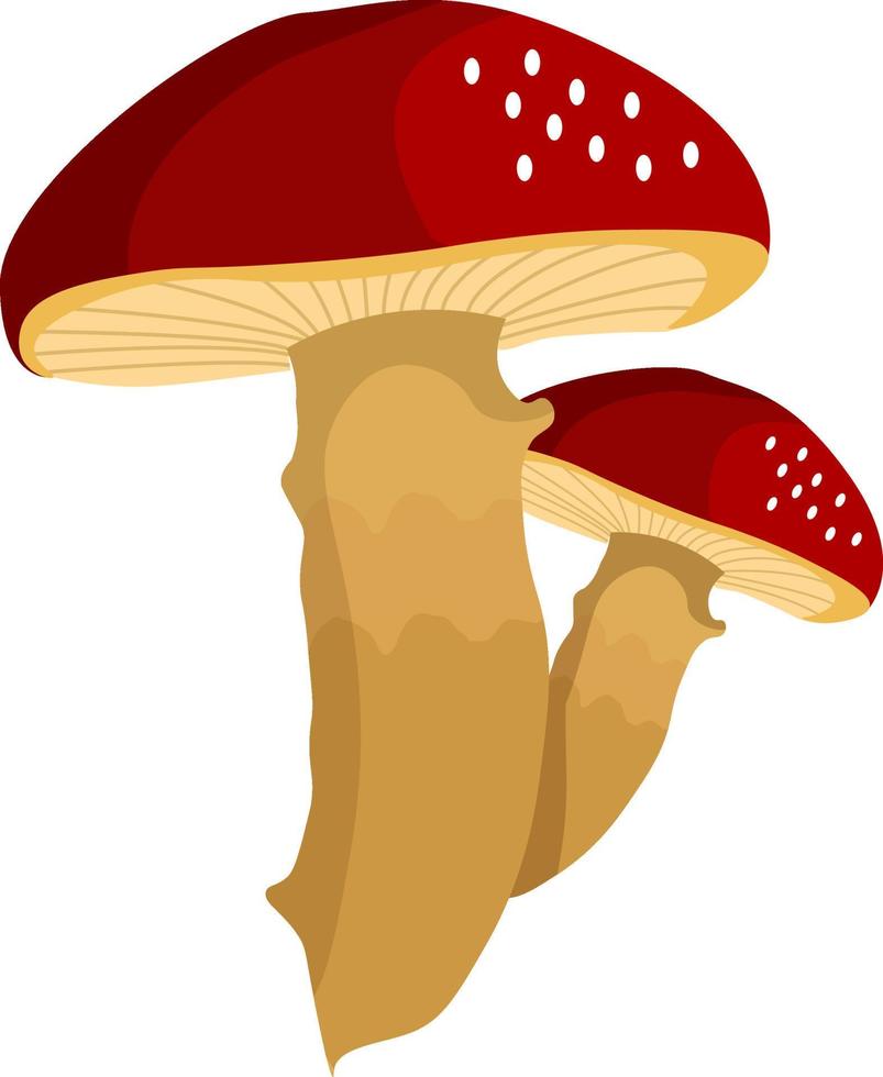 champignons rouges, illustration, vecteur sur fond blanc