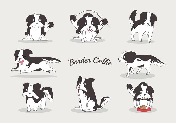 Vecteurs border collie gratuits vecteur