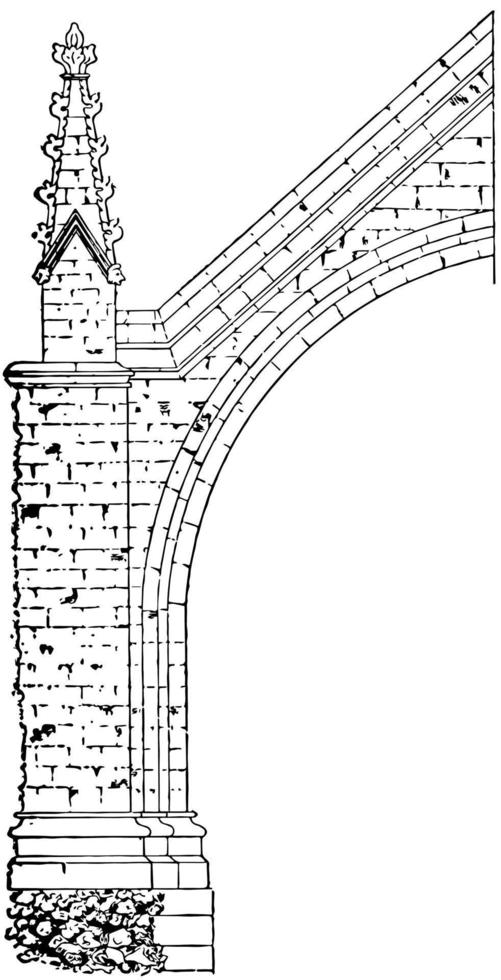 arc-boutant, distance, gravure vintage. vecteur