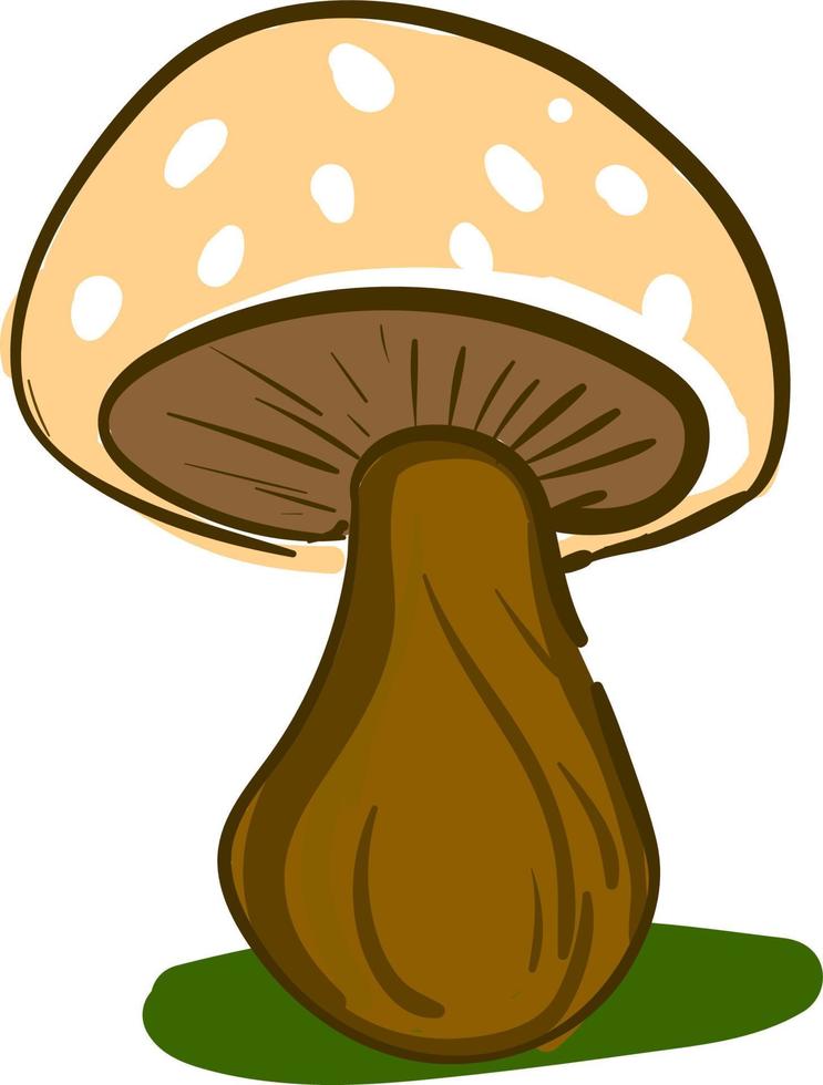 un champignon brun avec des taches blanches, un vecteur ou une illustration en couleur.