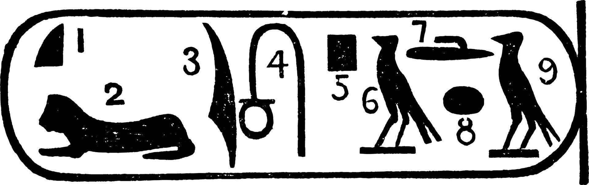 pierre de rosette ou hiéroglyphes de lecture, gravure vintage vecteur
