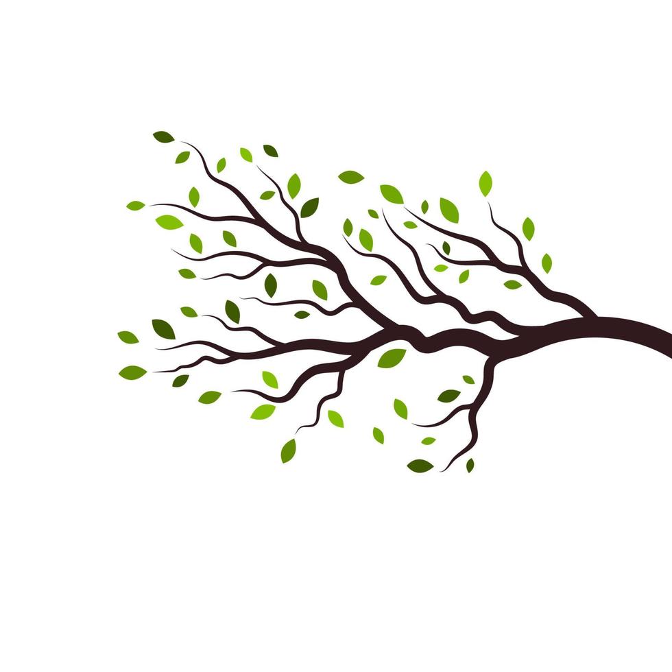 conception d'illustration vectorielle branche d'arbre vecteur