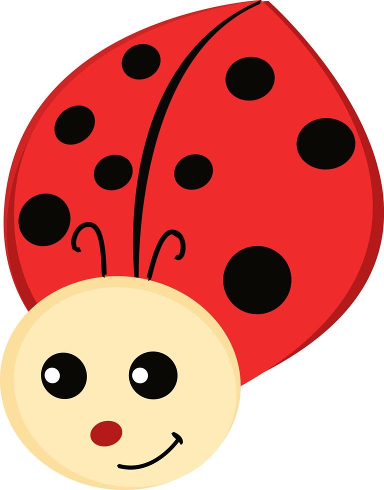 coccinelle mignonne, illustration, vecteur sur fond blanc