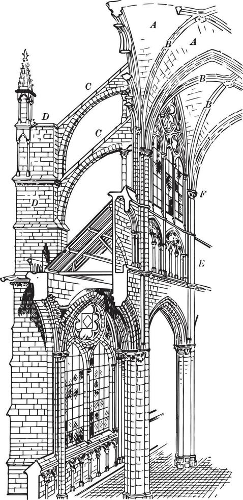 cathédrale d'amiens, coupe transversale de la cathédrale gothique, gravure vintage. vecteur