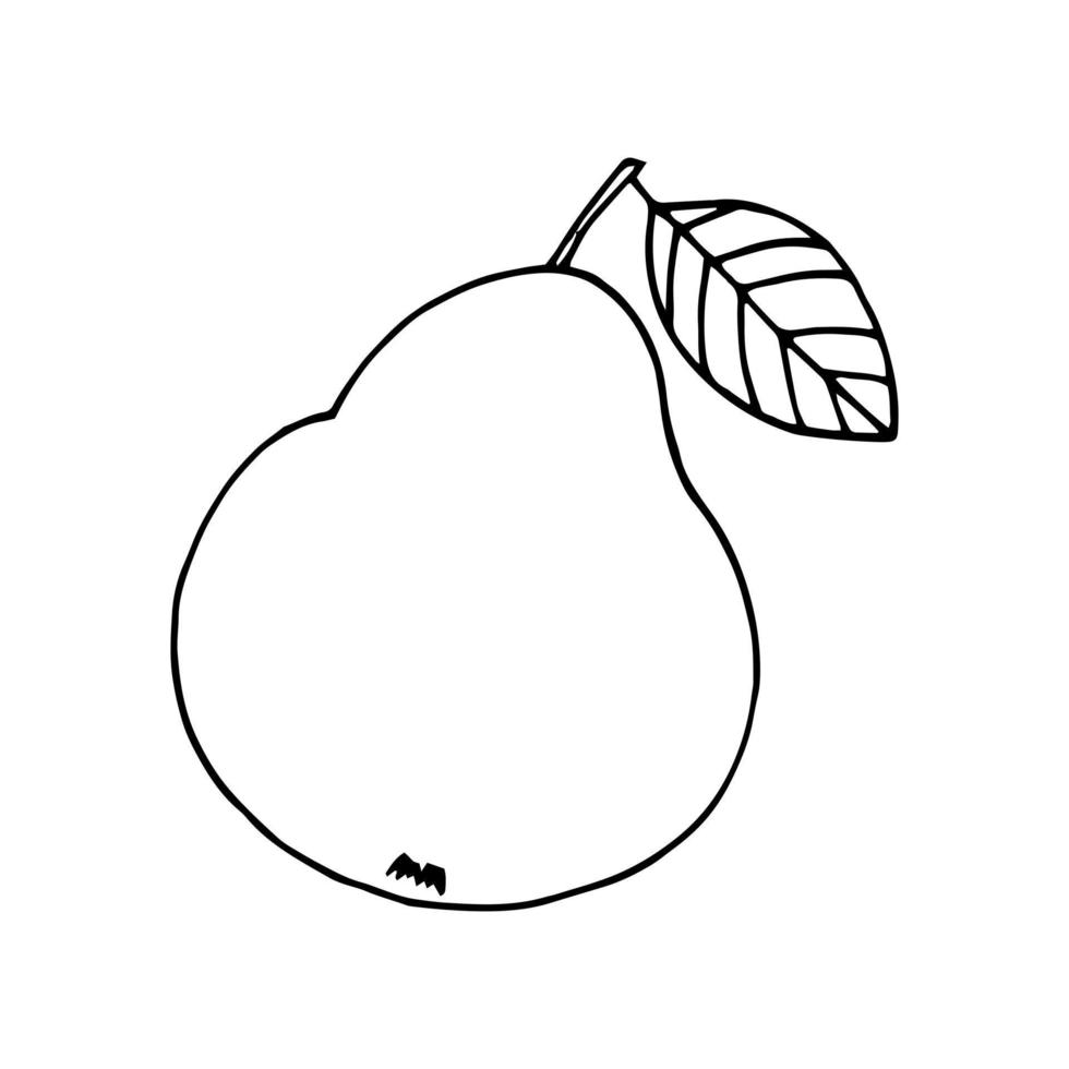 poire avec feuille dessinée à la main dans un style doodle. fruits, nourriture. icône, autocollant. vecteur