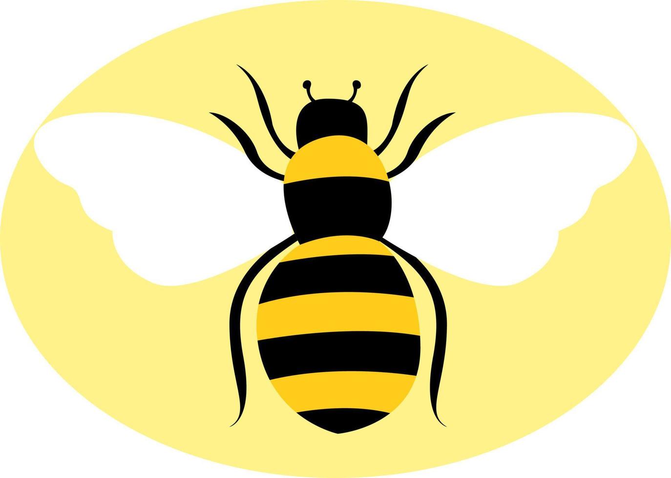 abeille sauvage, illustration, vecteur sur fond blanc.