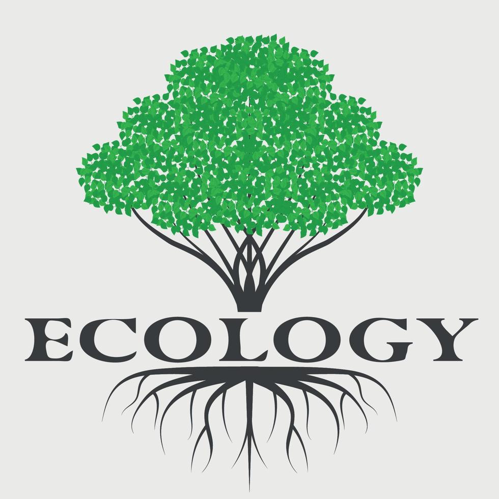 arbre vert avec création de logo écologique racines vecteur