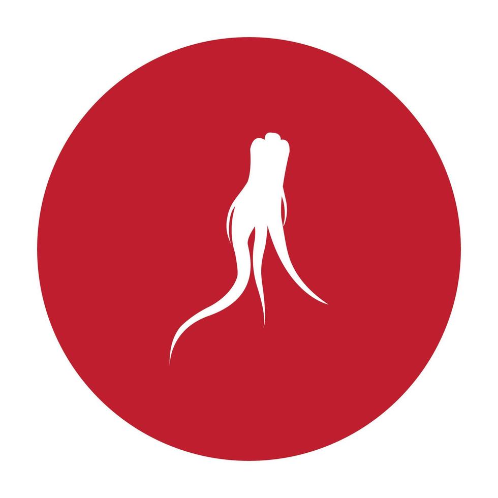 vecteur de logo de ginseng